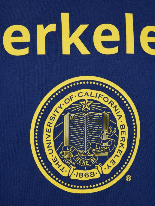Sweat Berkeley azul Champion
